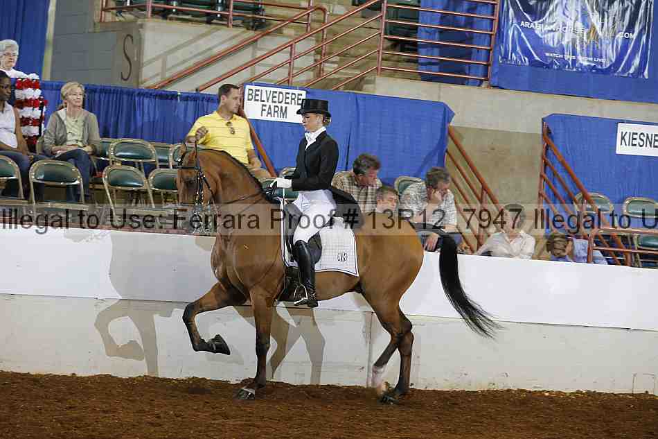 Proof Number 13r12_7947