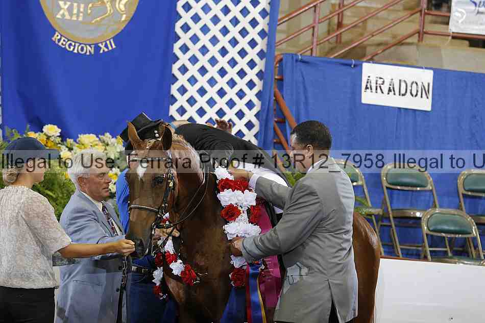 Proof Number 13r12_7958
