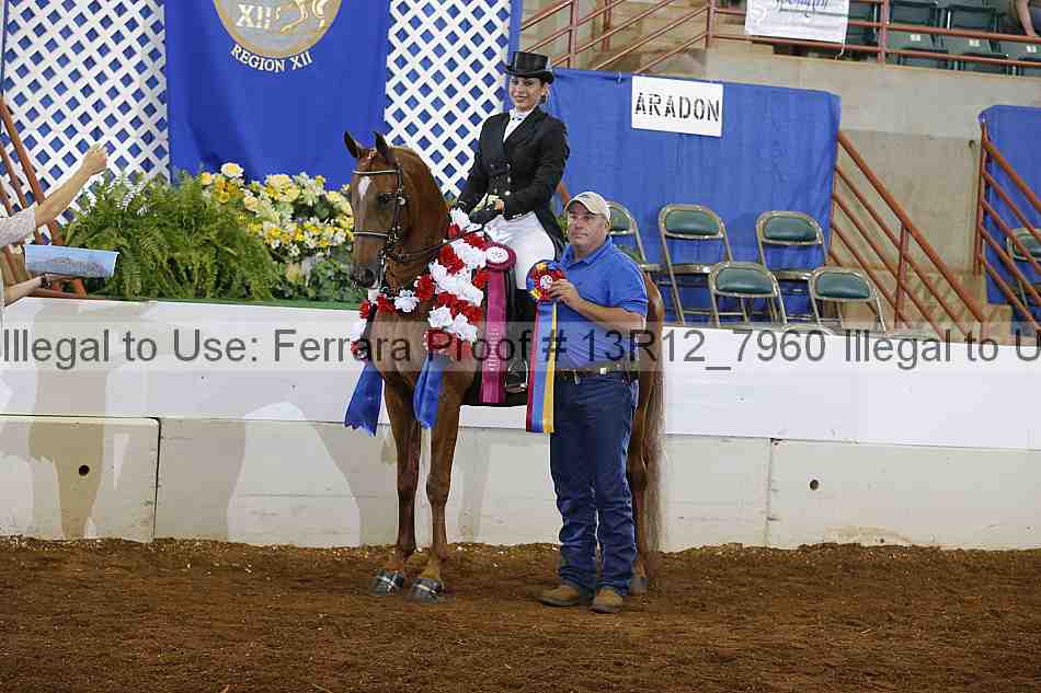 Proof Number 13r12_7960