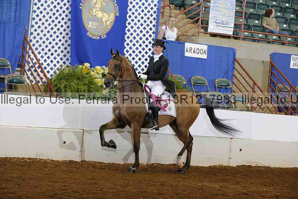 Proof Number 13r12_7963