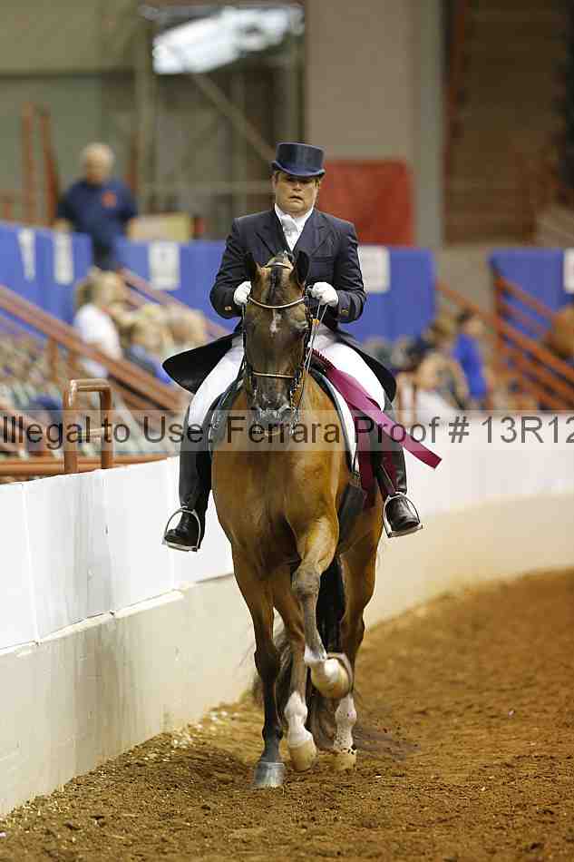 Proof Number 13r12_7970
