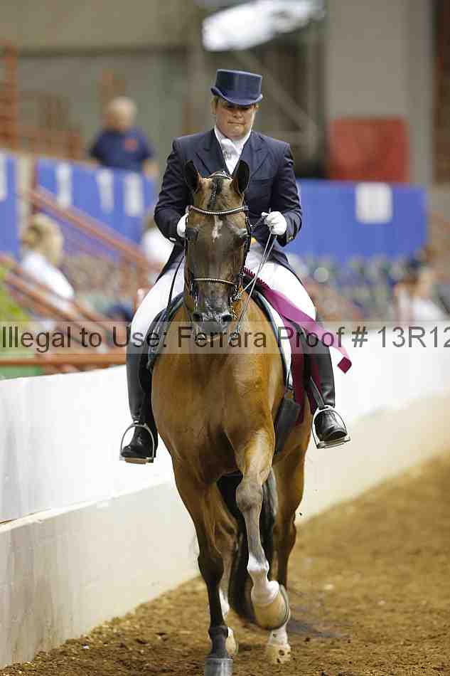 Proof Number 13r12_7972