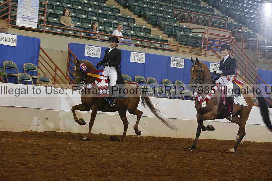 Proof Number 13r12_7985