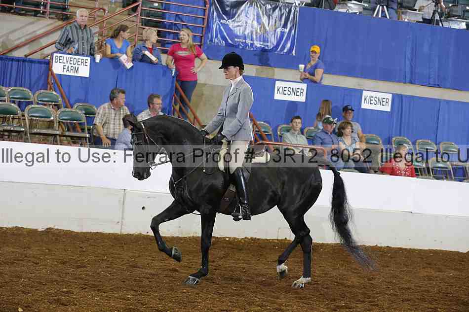 Proof Number 13r12_8052