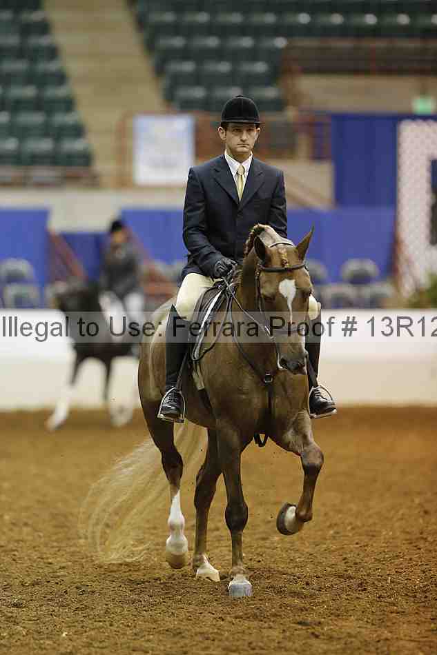 Proof Number 13r12_8054