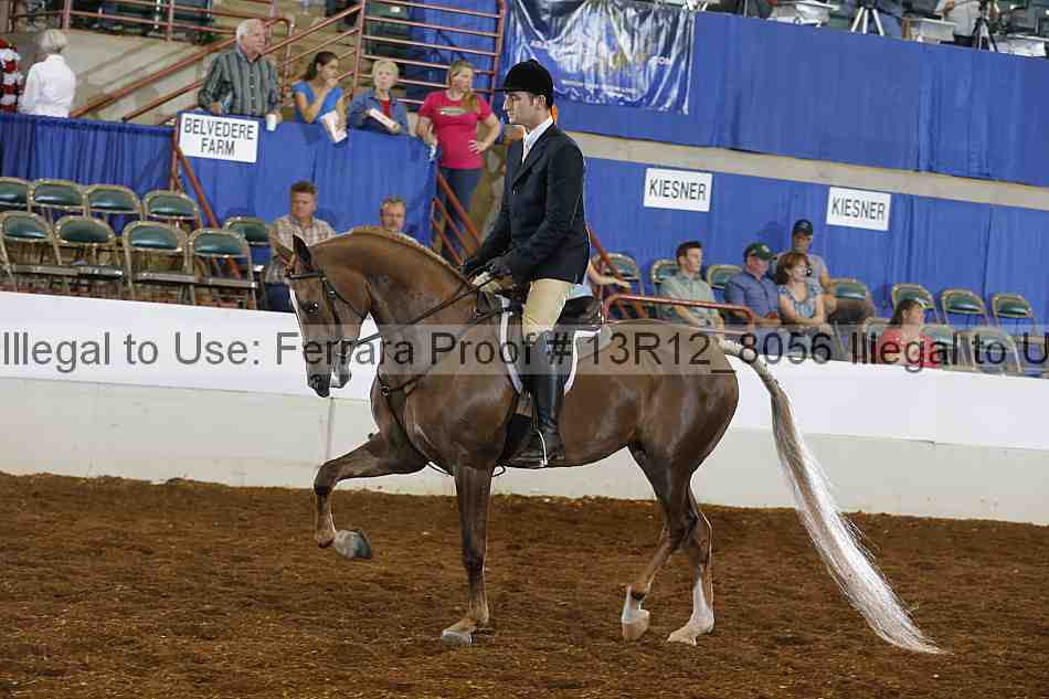 Proof Number 13r12_8056