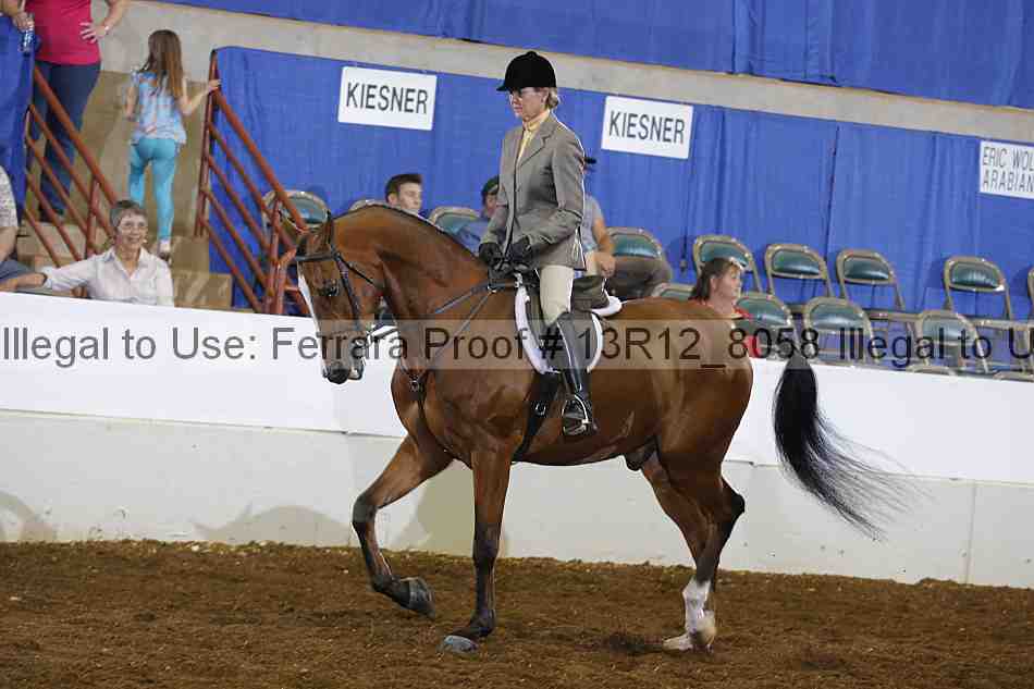 Proof Number 13r12_8058