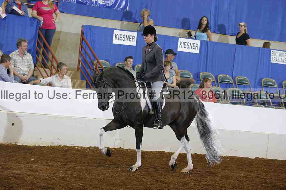 Proof Number 13r12_8061