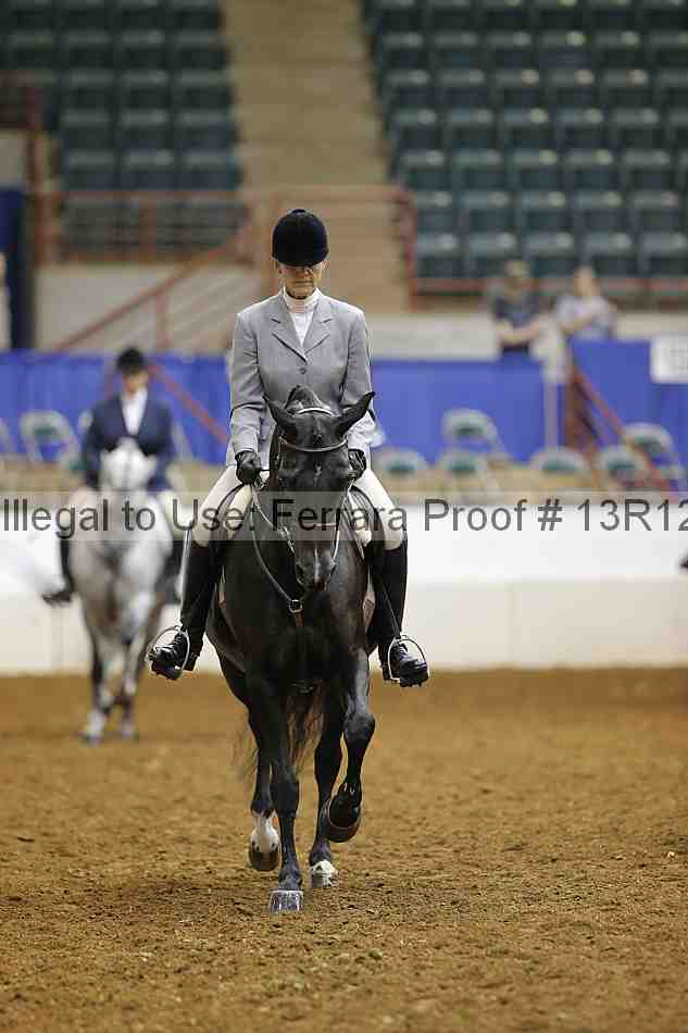Proof Number 13r12_8065