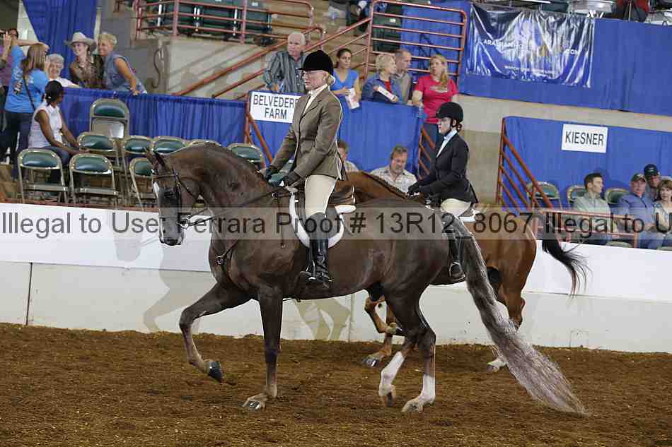 Proof Number 13r12_8067