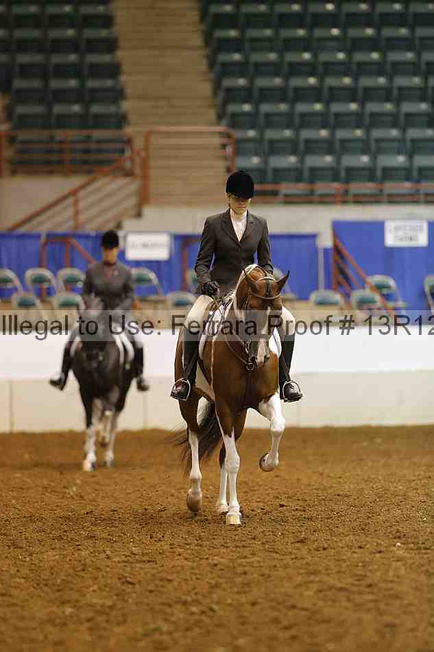 Proof Number 13r12_8069