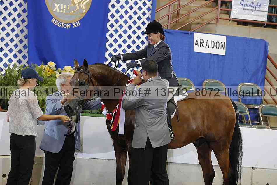 Proof Number 13r12_8072
