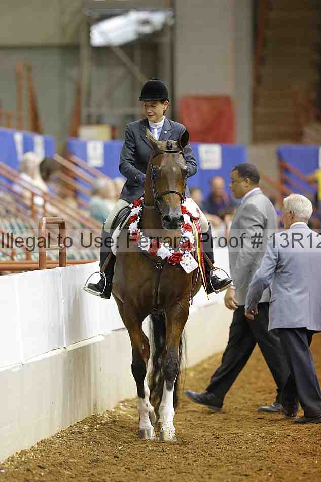 Proof Number 13r12_8076