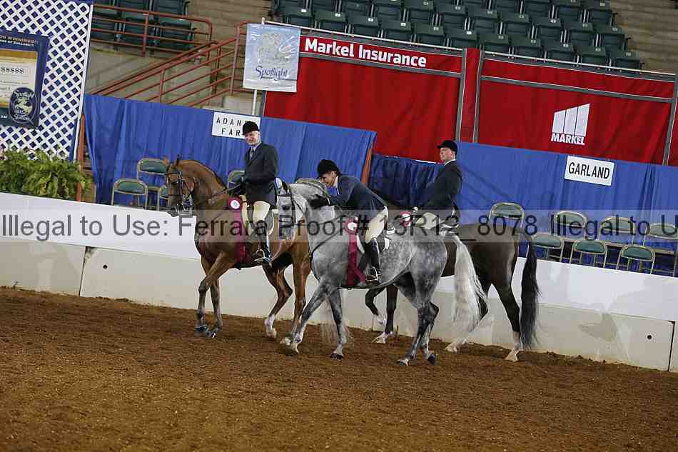 Proof Number 13r12_8078