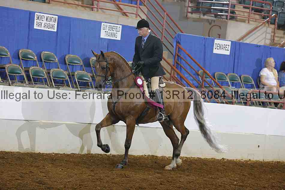 Proof Number 13r12_8084