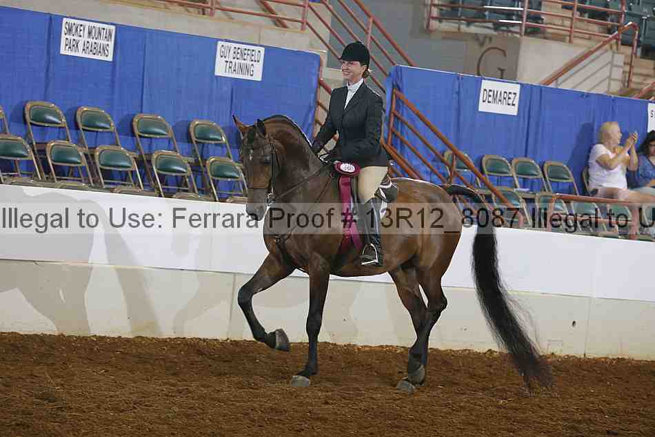 Proof Number 13r12_8087