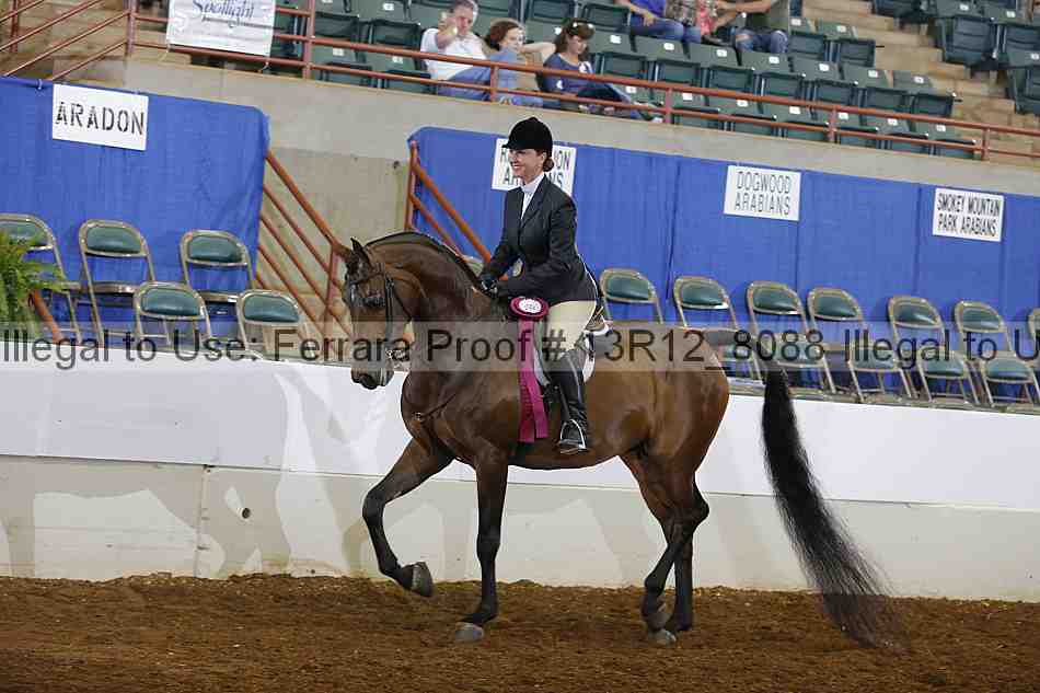Proof Number 13r12_8088