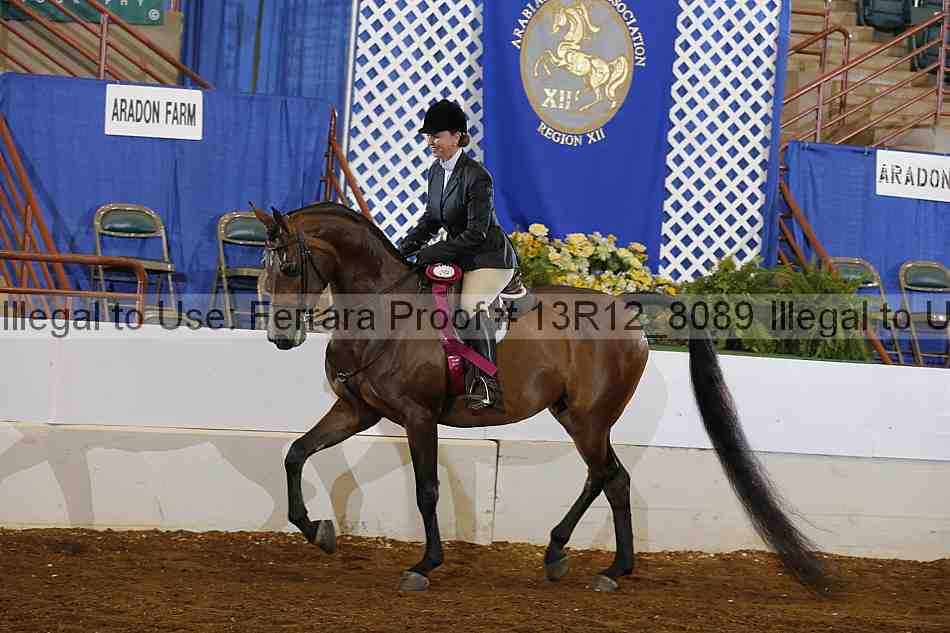 Proof Number 13r12_8089