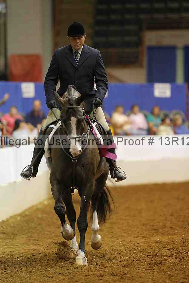 Proof Number 13r12_8094