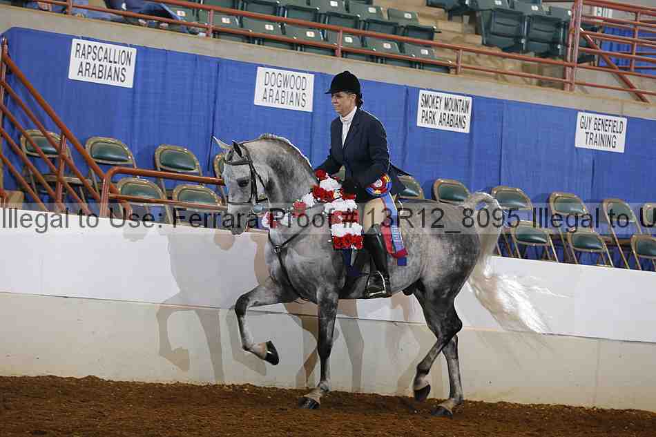 Proof Number 13r12_8095