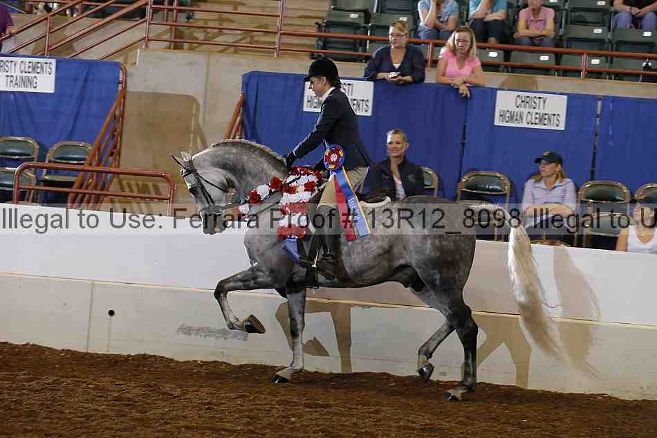 Proof Number 13r12_8098