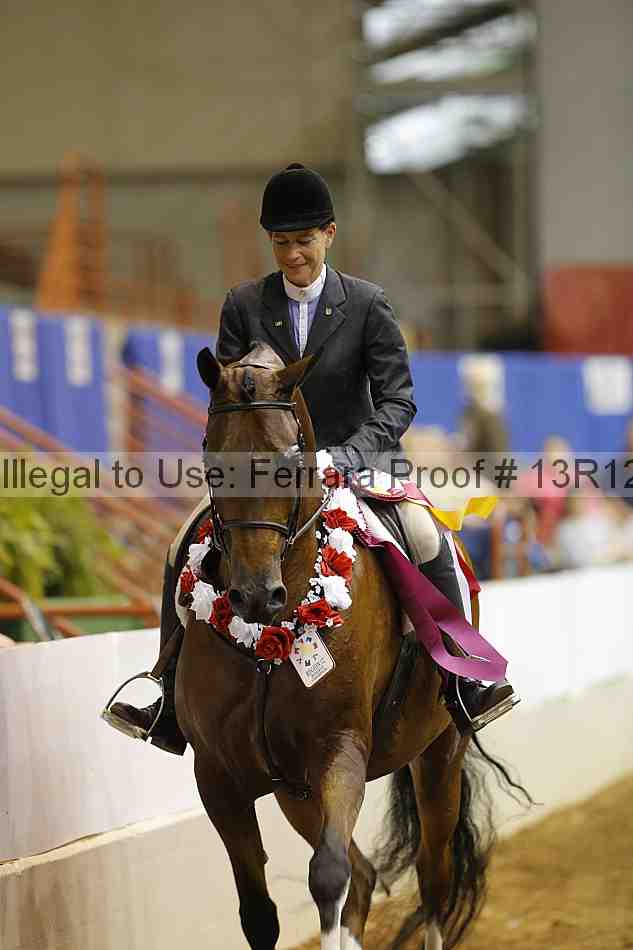 Proof Number 13r12_8099