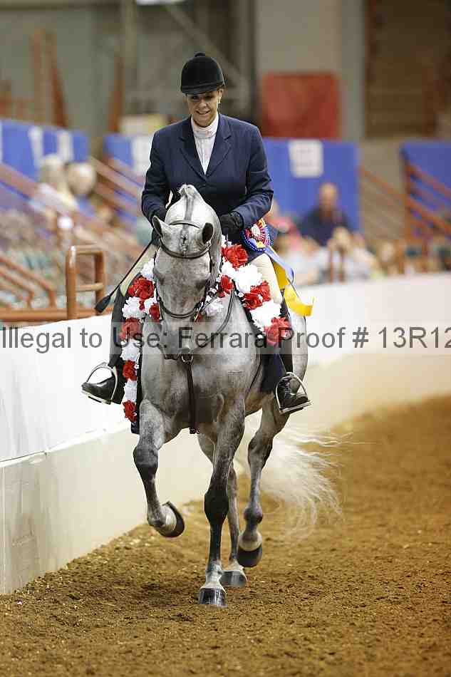 Proof Number 13r12_8100