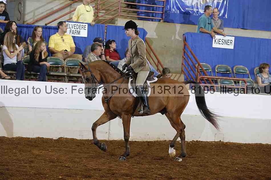 Proof Number 13r12_8105