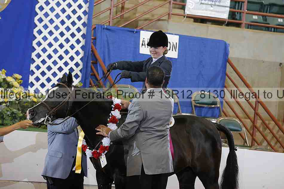Proof Number 13r12_8130