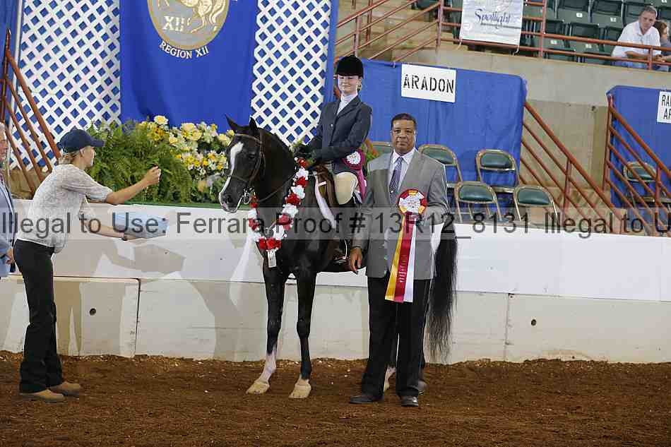 Proof Number 13r12_8131