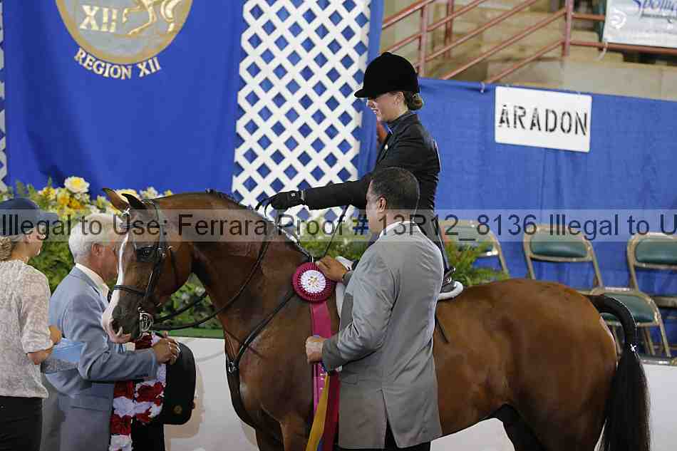 Proof Number 13r12_8136
