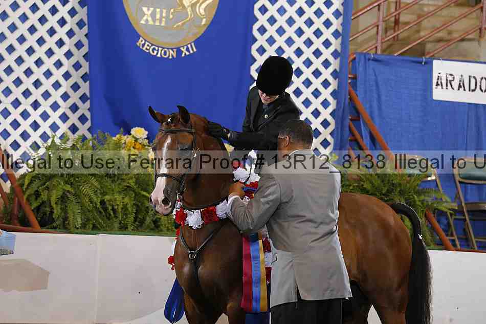 Proof Number 13r12_8138