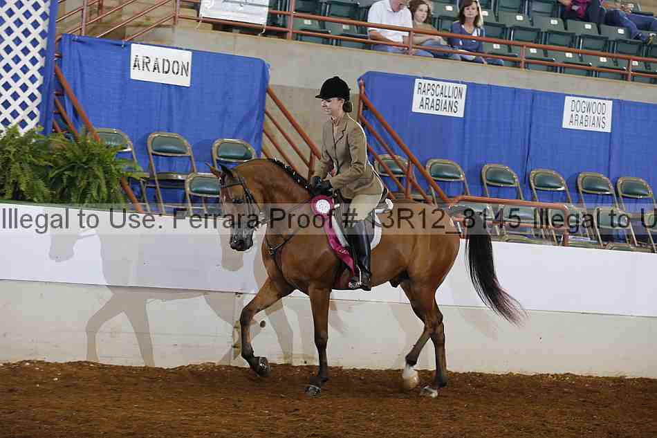 Proof Number 13r12_8145