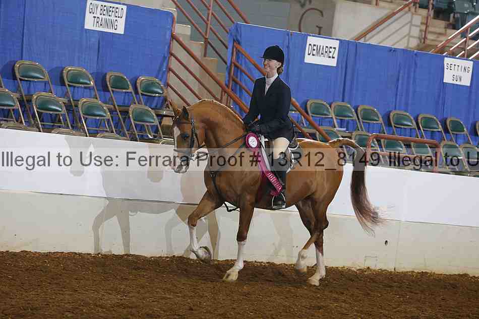 Proof Number 13r12_8149