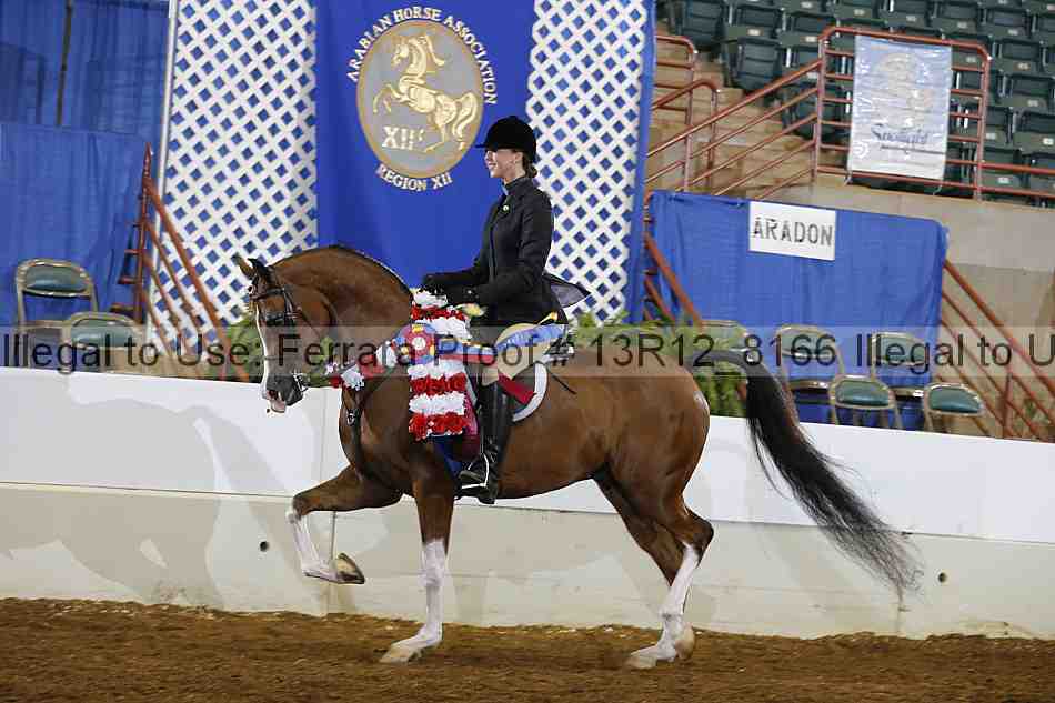 Proof Number 13r12_8166