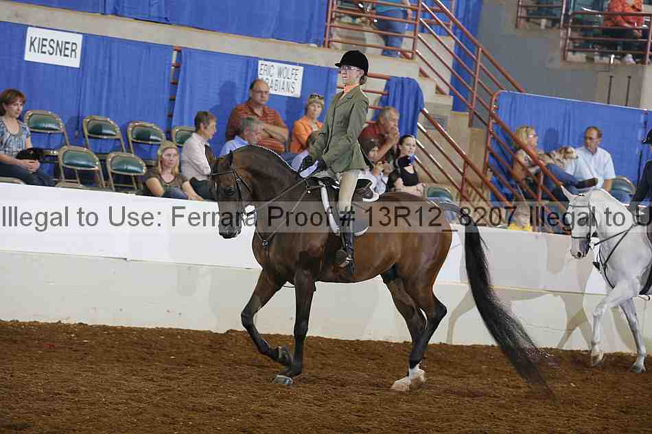 Proof Number 13r12_8207