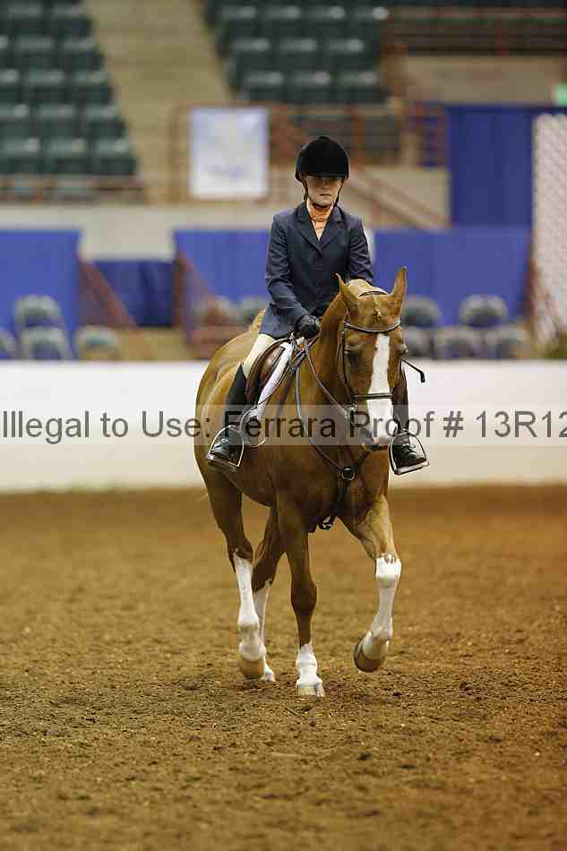 Proof Number 13r12_8209