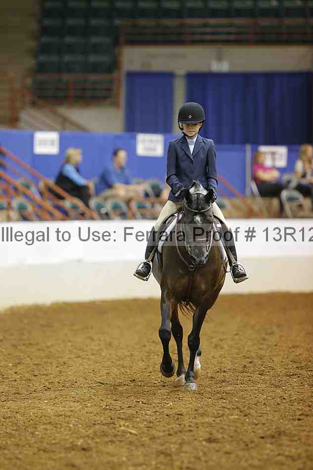 Proof Number 13r12_8211