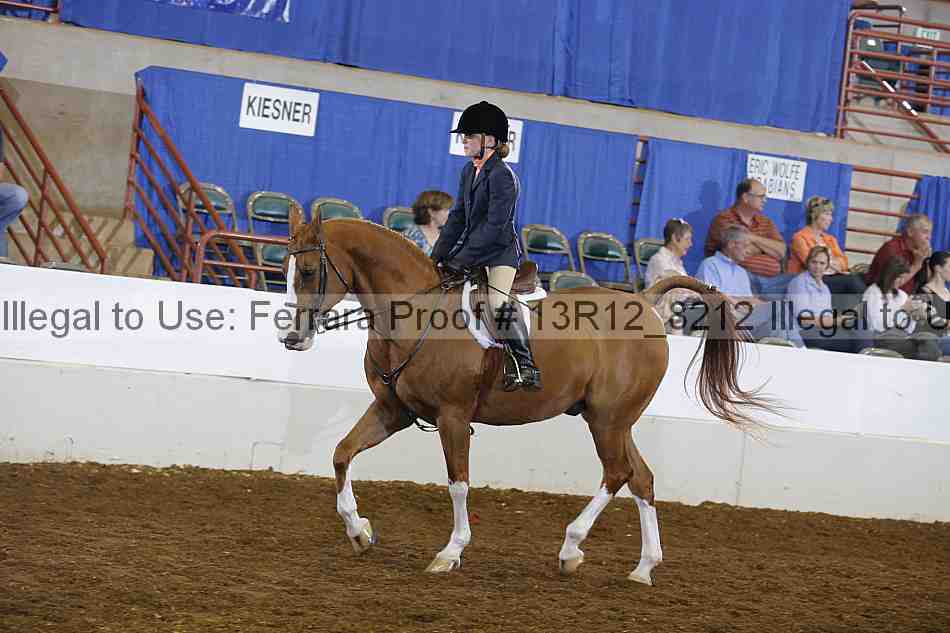 Proof Number 13r12_8212