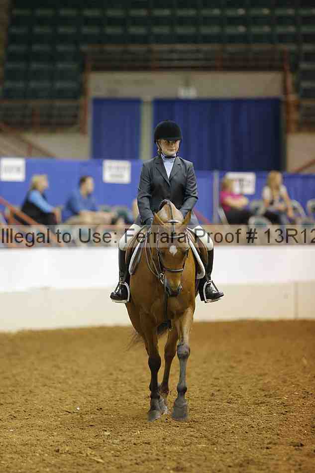 Proof Number 13r12_8215