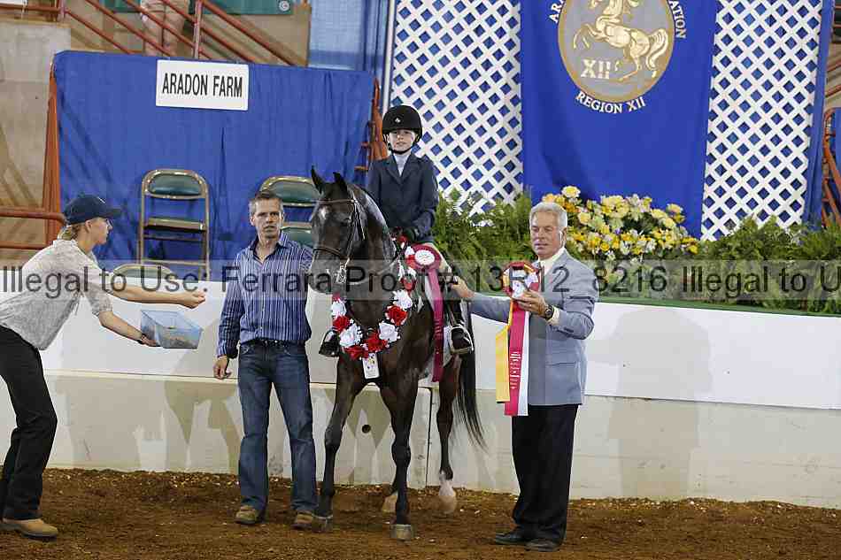 Proof Number 13r12_8216