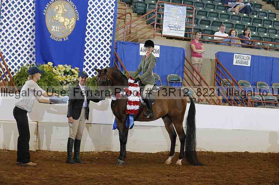 Proof Number 13r12_8221