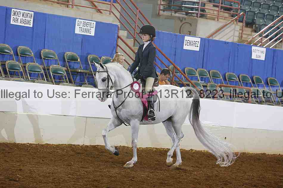 Proof Number 13r12_8223