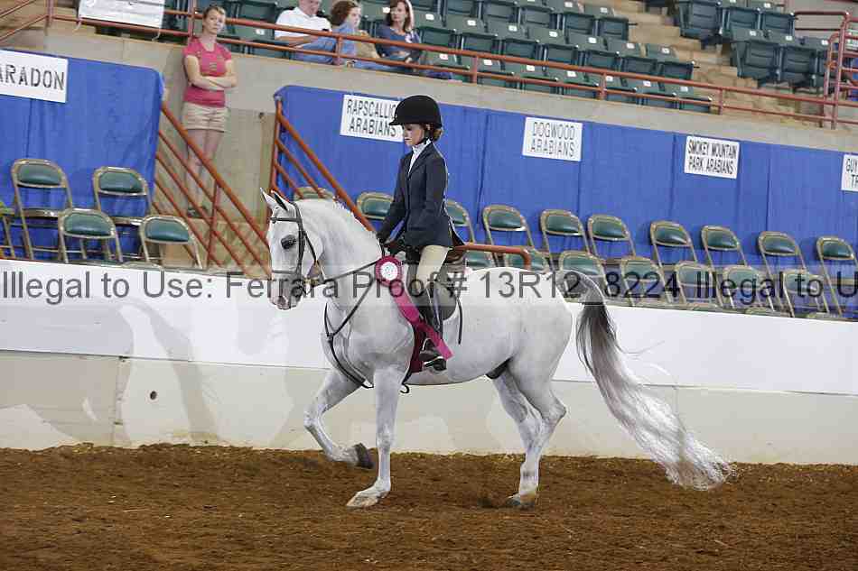 Proof Number 13r12_8224