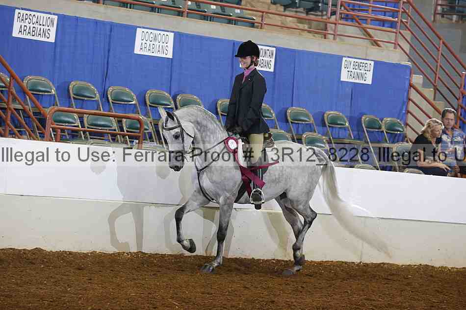 Proof Number 13r12_8228