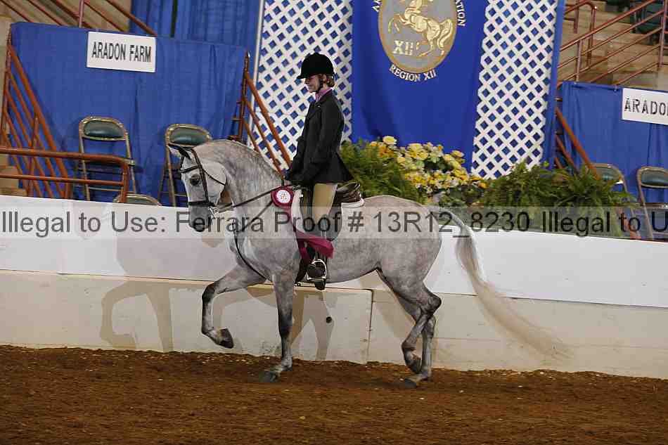 Proof Number 13r12_8230