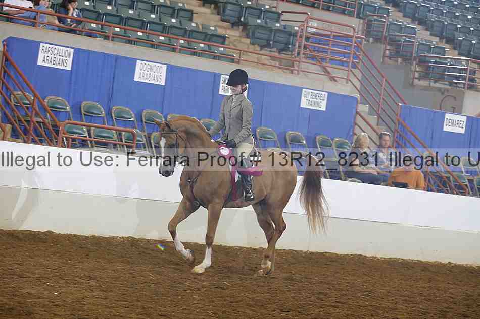 Proof Number 13r12_8231