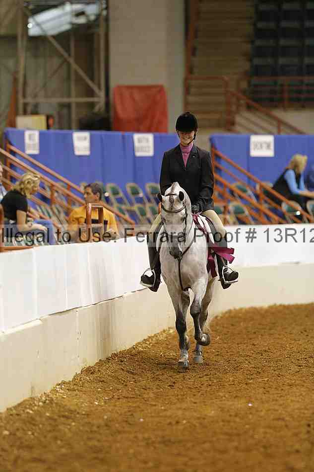 Proof Number 13r12_8233