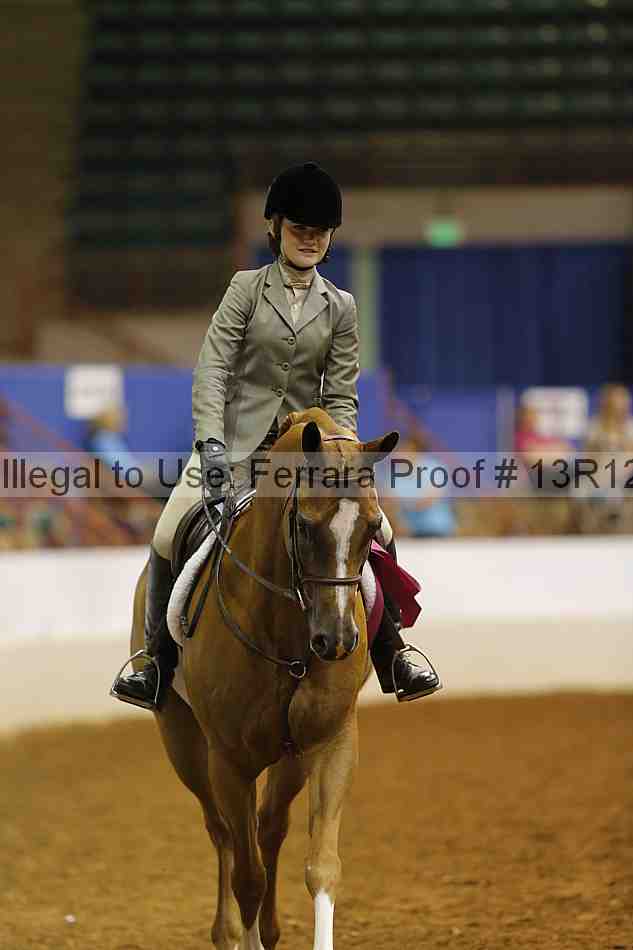 Proof Number 13r12_8236