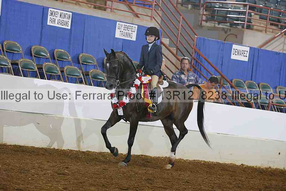 Proof Number 13r12_8238